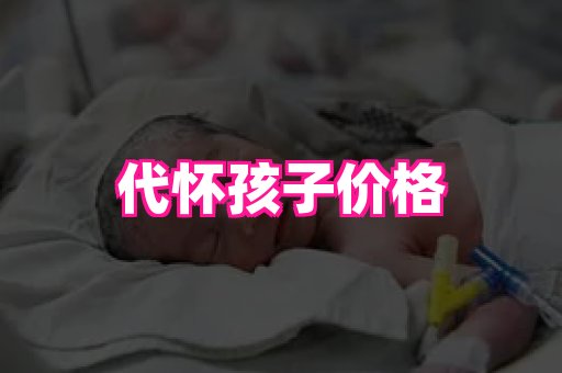 gfg孕网 1