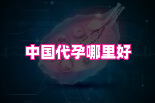 gfg孕网 2