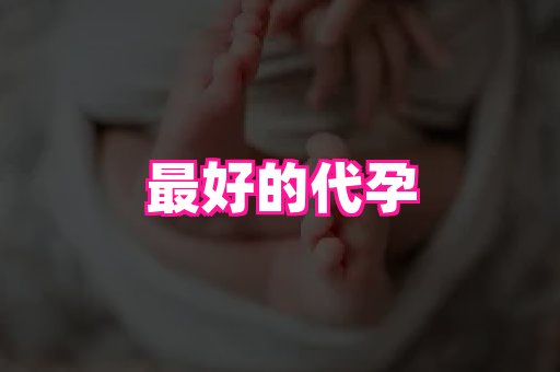 gfg孕网 3